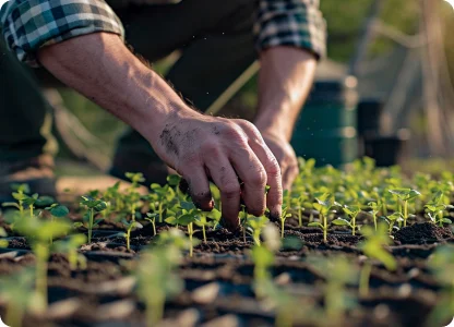 smart farming